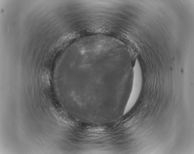 X0000086920643200705071329