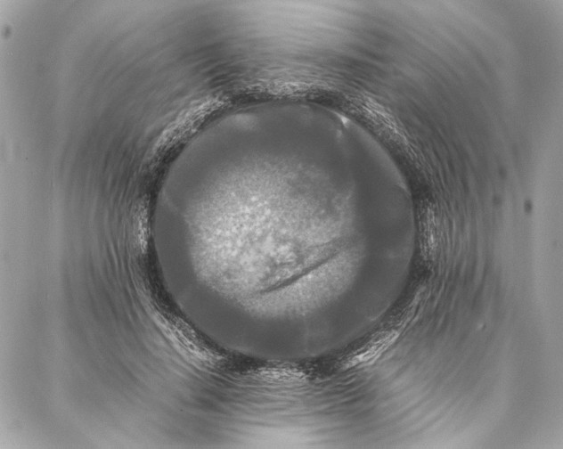 X0000086920644200705071329