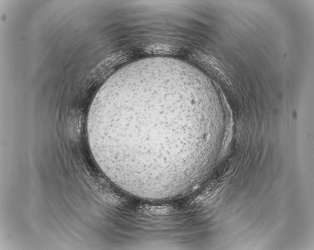 X0000086920645200705071329