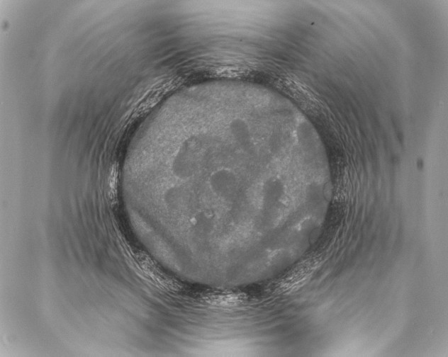 X0000086920646200705071329