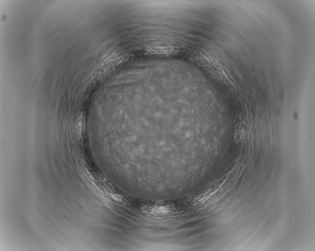 X0000086920647200705071329