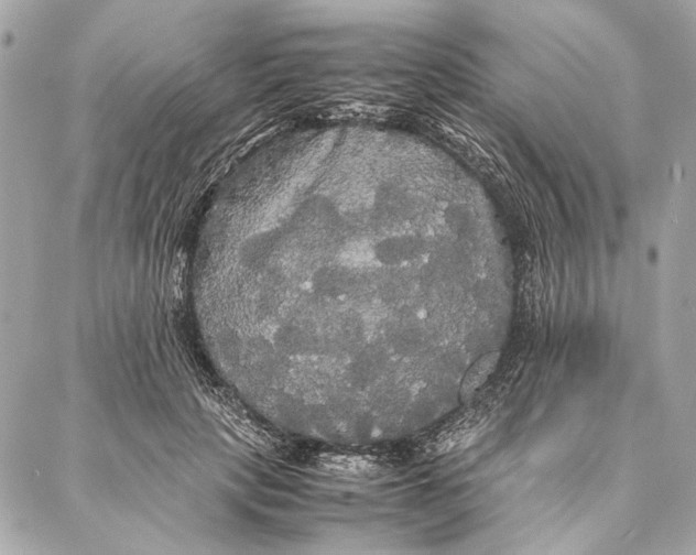 X0000086920649200705071329