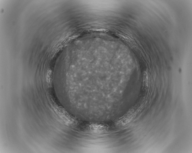 X0000086920650200705071329