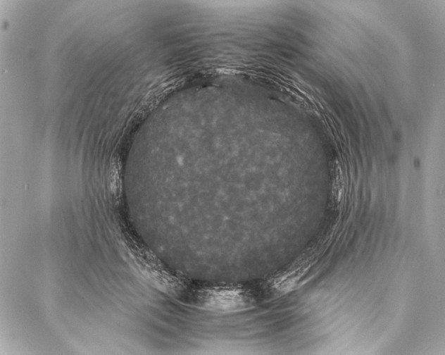 X0000086920651200705071329