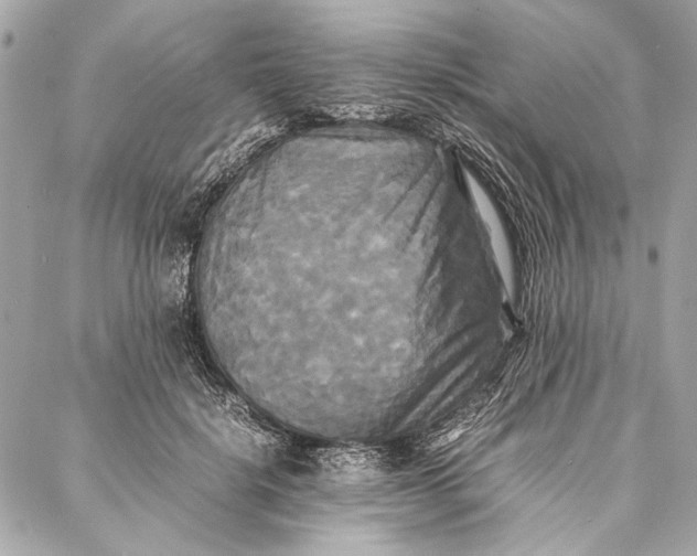 X0000086920652200705071329