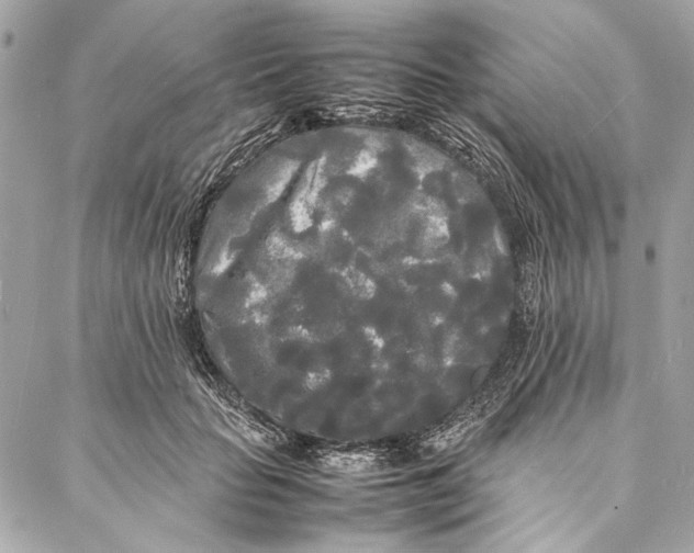 X0000086920653200705071329