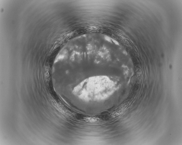 X0000086920654200705071329