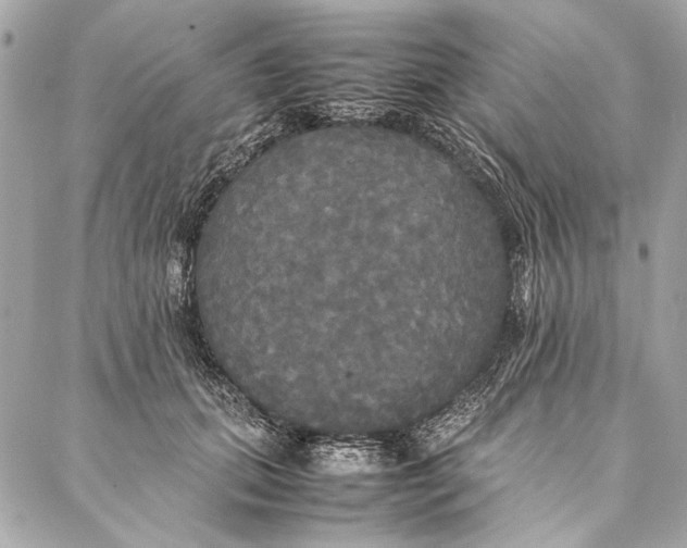 X0000086920655200705071329