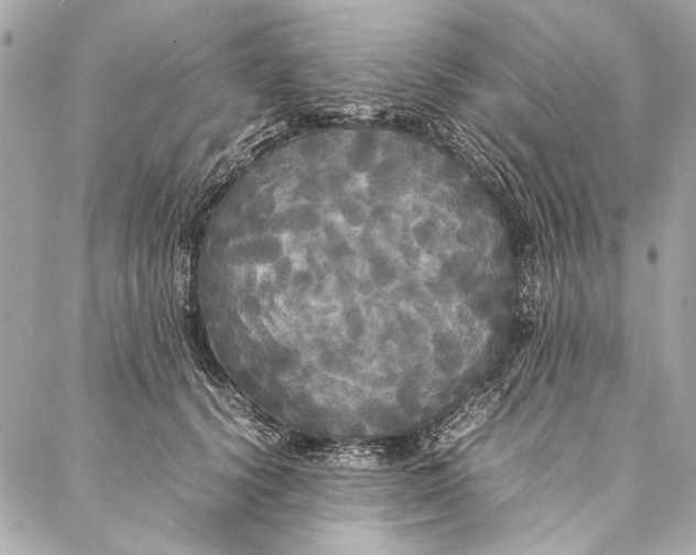 X0000086920656200705071329