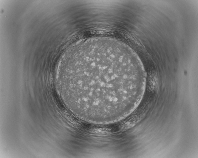 X0000086920657200705071329