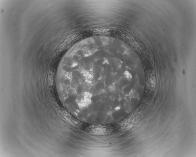 X0000086920658200705071329