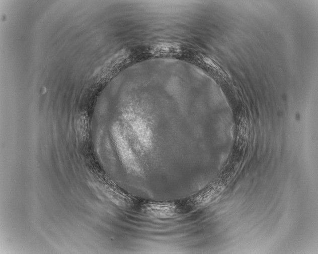 X0000086920659200705071329