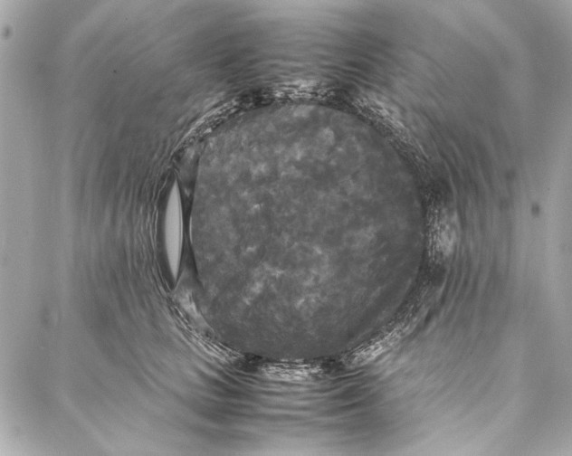 X0000086920661200705071329