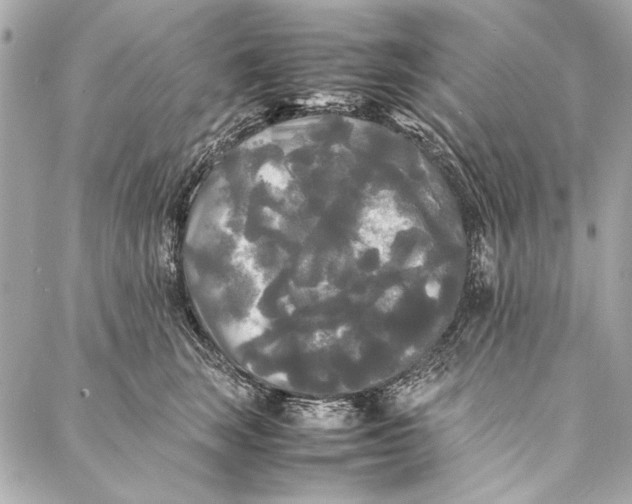 X0000086920663200705071329