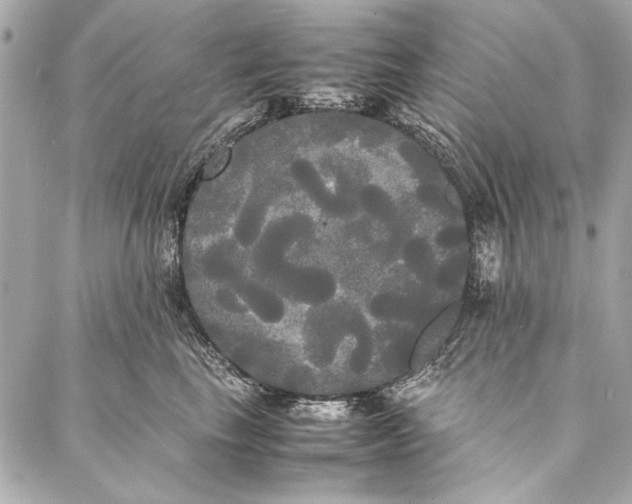 X0000086920665200705071329