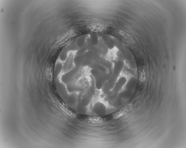 X0000086920666200705071329