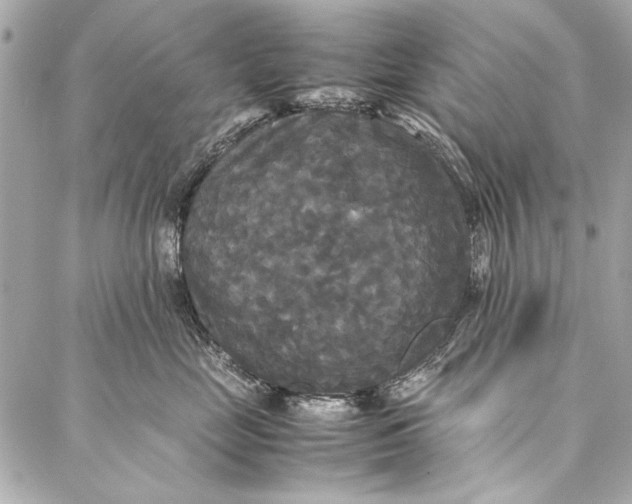 X0000086920669200705071329