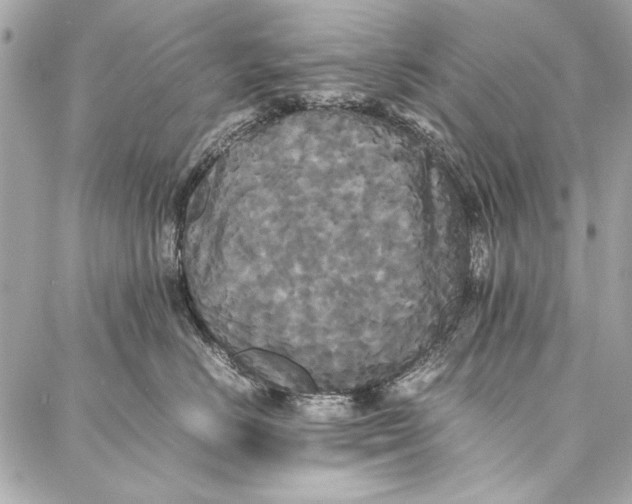 X0000086920670200705071329