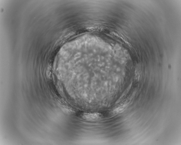 X0000086920671200705071329