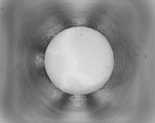 X0000086920672200705071329