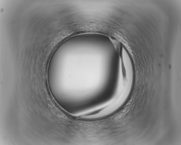 X0000086920673200705071329