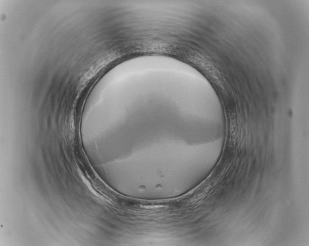 X0000086920674200705071329