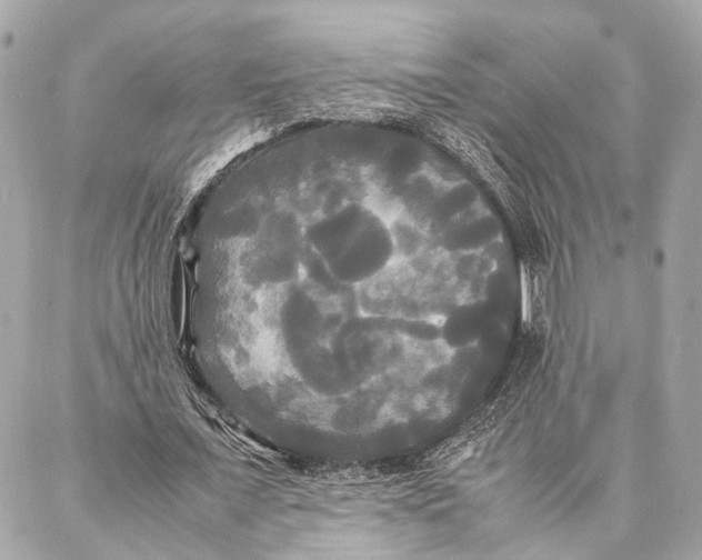 X0000086920675200705071329