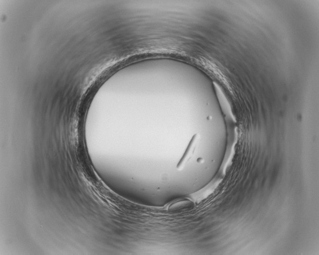 X0000086920676200705071329