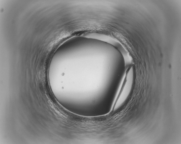 X0000086920677200705071329