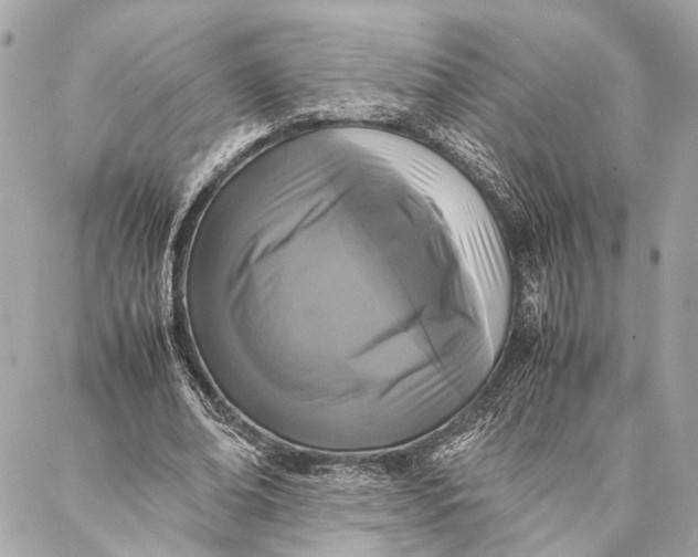 X0000086920678200705071329