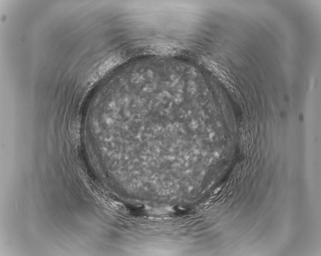 X0000086920679200705071328