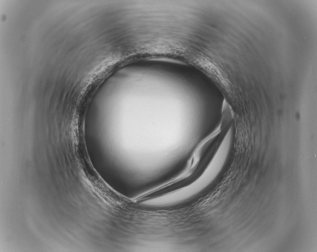 X0000086920680200705071328