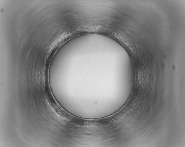 X0000086920682200705071328