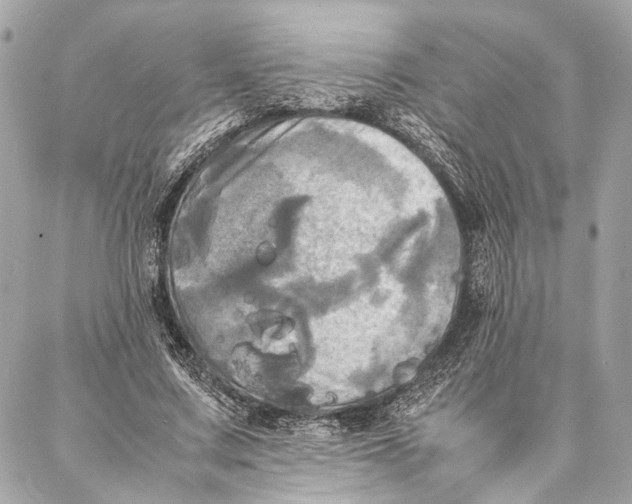 X0000086920683200705071328