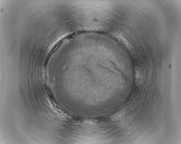 X0000086920684200705071328