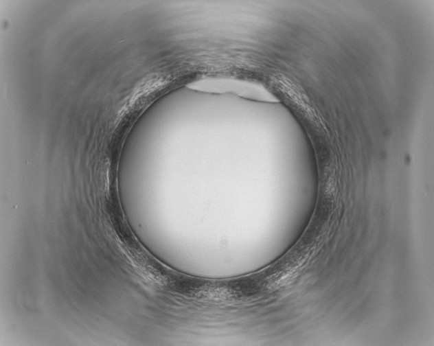 X0000086920685200705071328