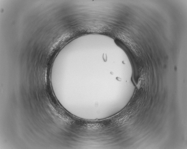 X0000086920686200705071328