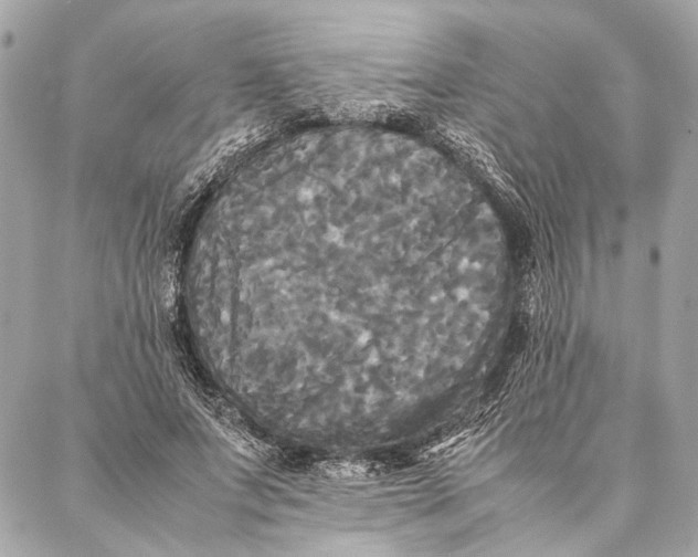 X0000086920687200705071328