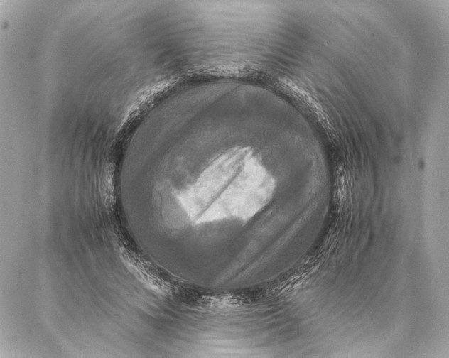 X0000086920688200705071328