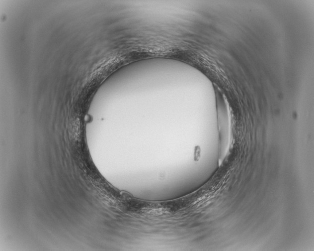 X0000086920689200705071328