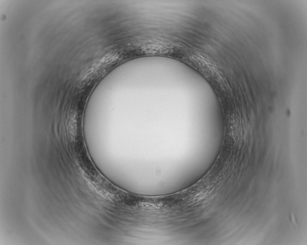 X0000086920690200705071328