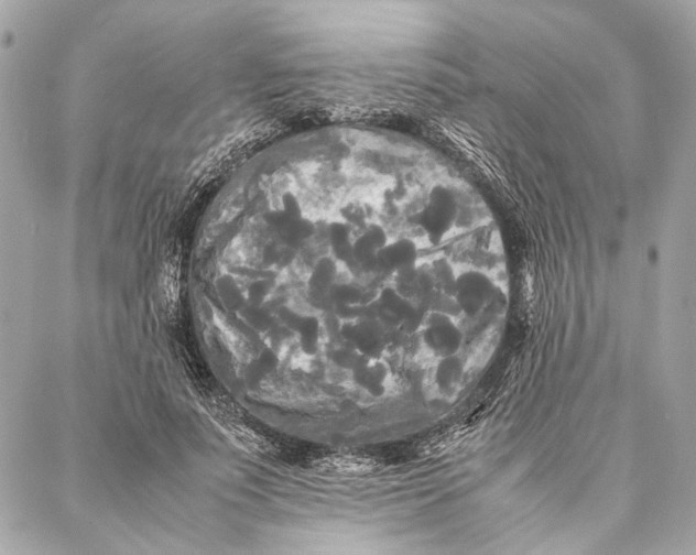 X0000086920691200705071328