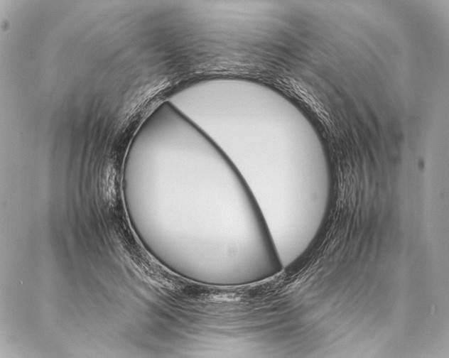 X0000086920692200705071328