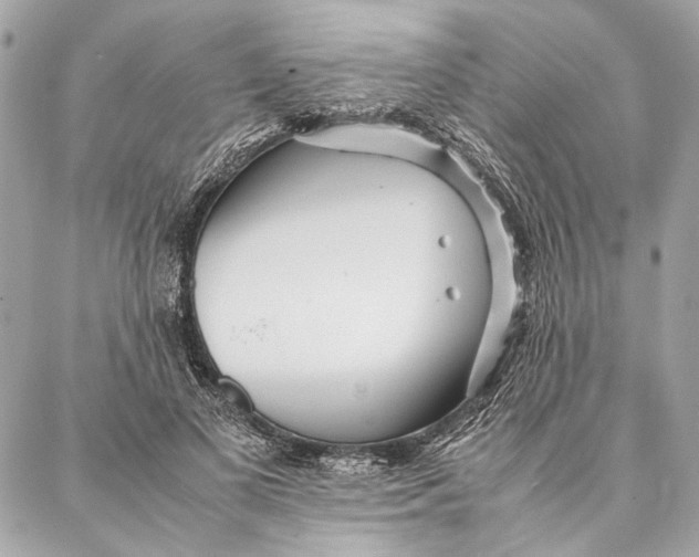 X0000086920693200705071328