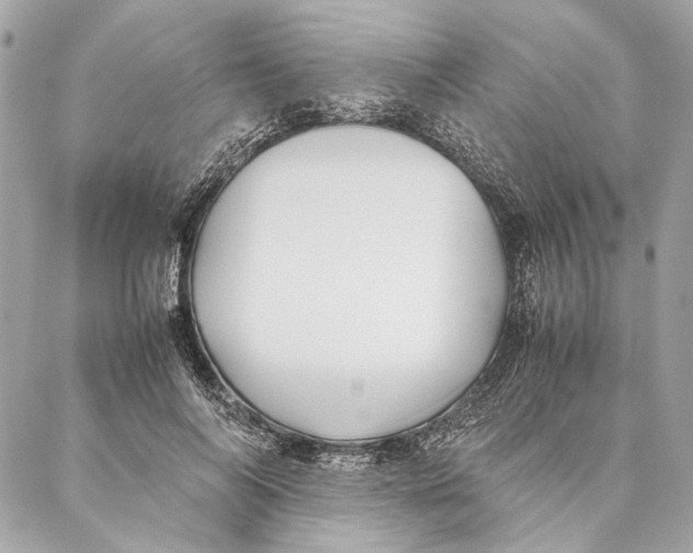 X0000086920694200705071328