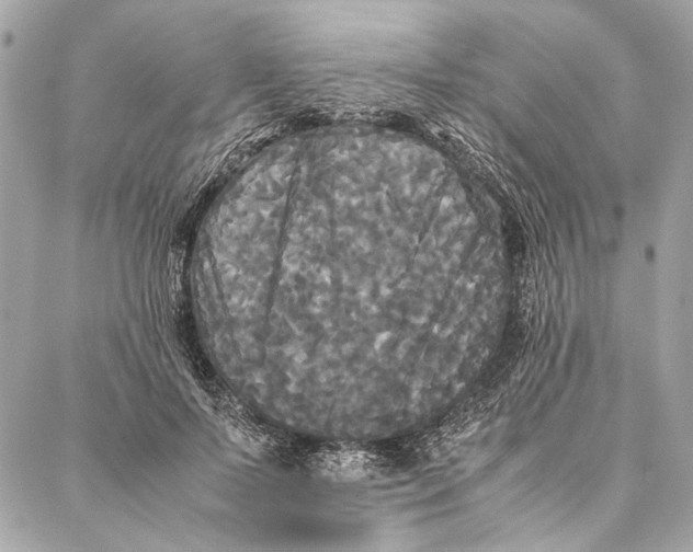 X0000086920695200705071328