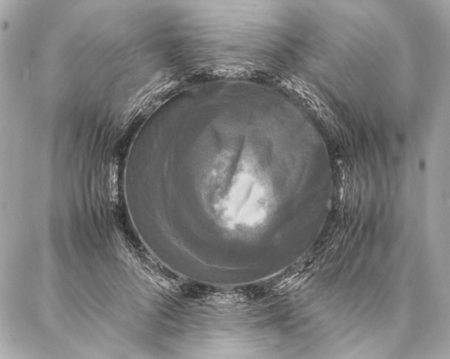 X0000086920696200705071328