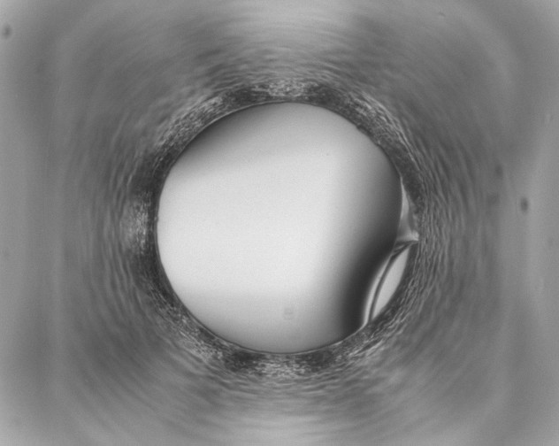 X0000086920697200705071328