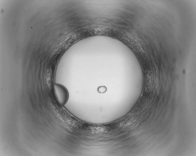 X0000086920698200705071328