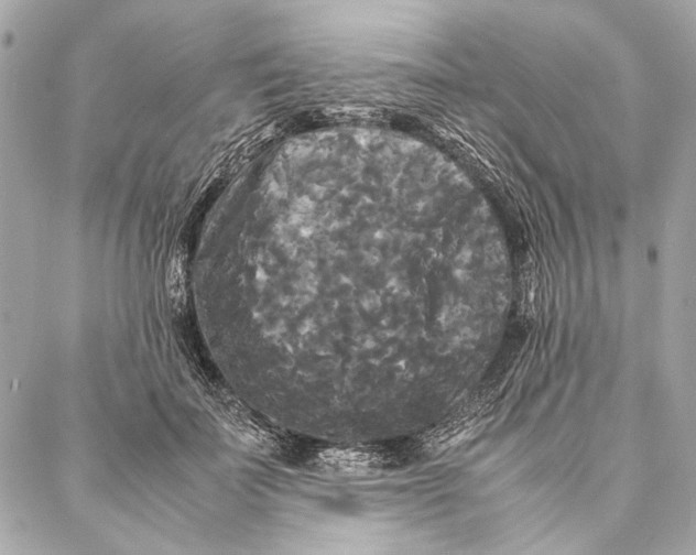 X0000086920699200705071328